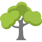 Glen Allen Tree Removal