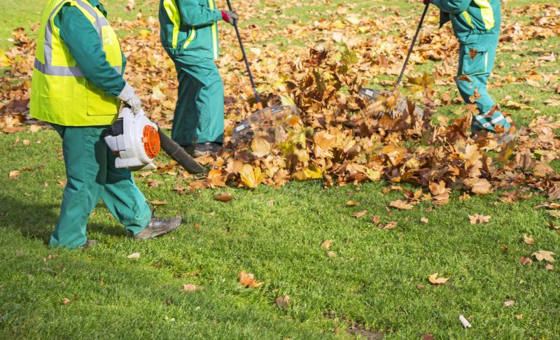 Yard Maintenance with Leaf Removal